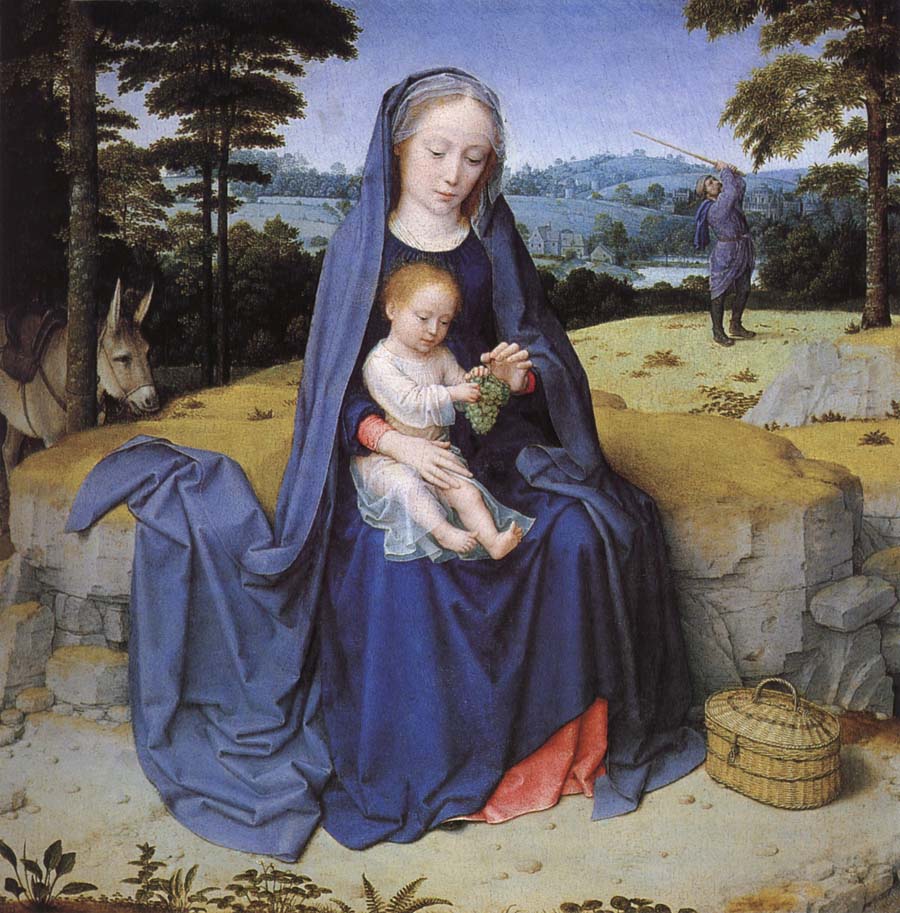 Vila during the flight to Egypt